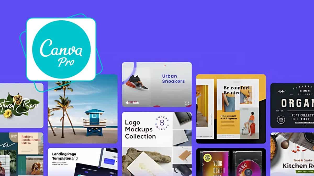 Canva PRO Giá Rẻ