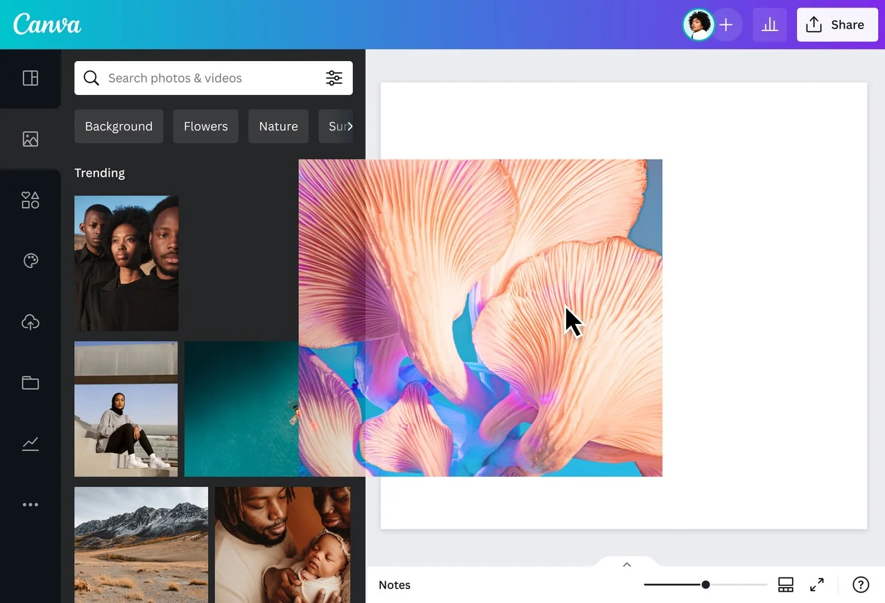 Canva Pro bản quyền giá rẻ