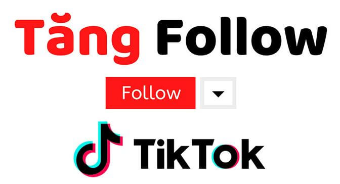 Dịch Vụ Tăng Like Facebook, TikTok