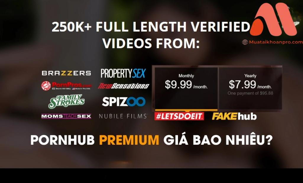 Tài Khoản Pornhub Premium Giá Rẻ