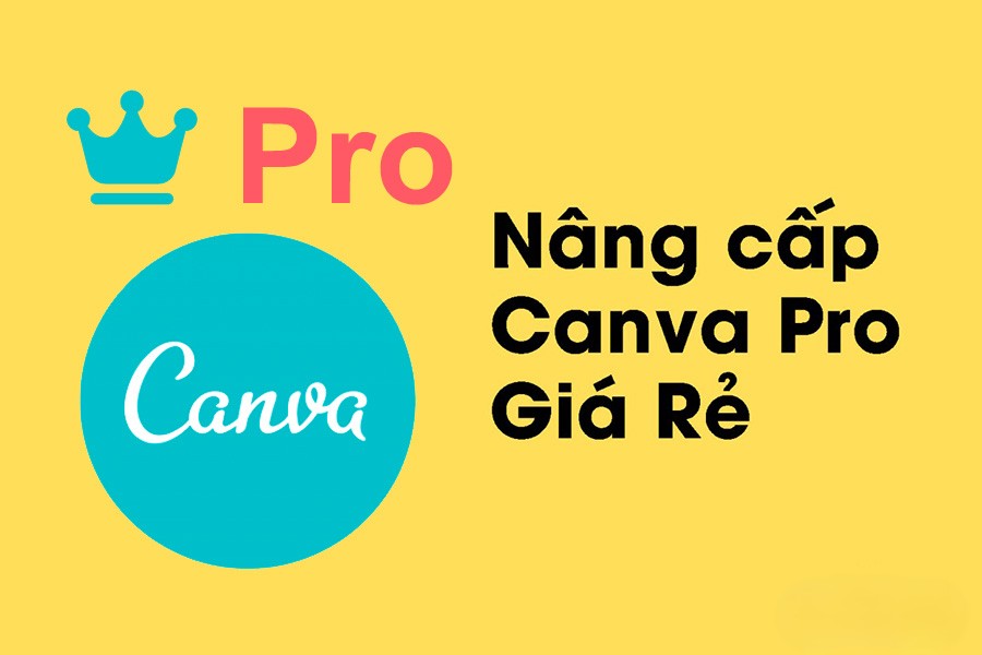 Mua tài khoản canva pro giá rẻ