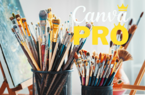 Cách mua Canva Pro