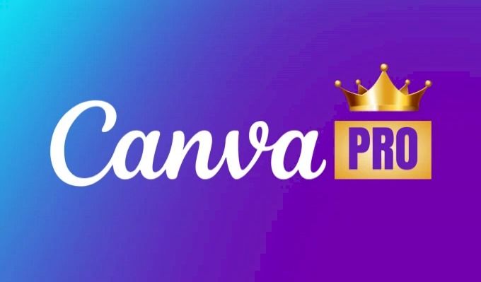 Cách mua Canva Pro rẻ
